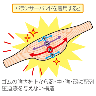 ゴムの強さを上から弱・中・強・弱に配列圧迫感を与えない構造