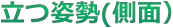 立位側面
